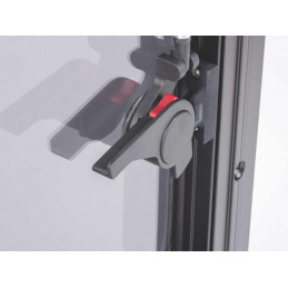 Carbest RW Style window