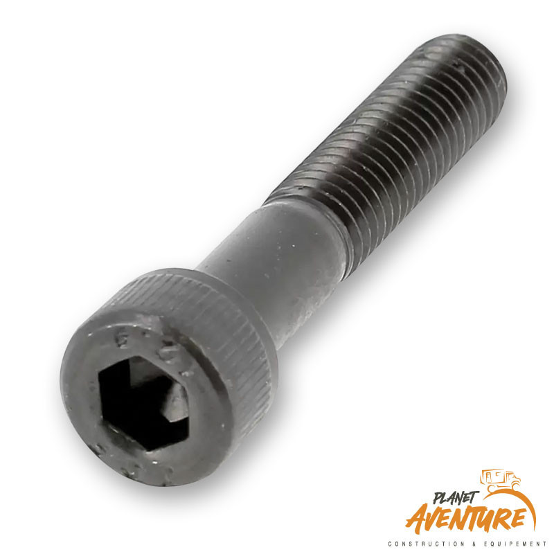 Vis chc m10x200 12.9 noire Vis chc m10x200 12.9 noire