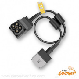 Cable Micro inverter vers delta pro Ecoflow